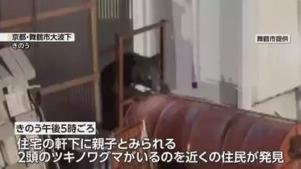 「迷わずに縁の下へ入りました」民家にクマで『緊急銃猟』　周囲では今朝（4日）も“クマ”の目撃情報　京都・舞鶴市