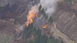 「【危険】積み上げられた木材に火が燃え移る　山林火災の消火中に消防隊員らが避難　兵庫・宍粟市」の画像1