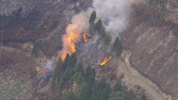 【危険】積み上げられた木材に火が燃え移る　山林火災の消火中に消防隊員らが避難　兵庫・宍粟市