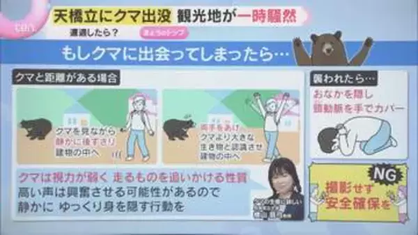 京都・天橋立でツキノワグマが出没し麻酔銃で捕獲　クマは海を泳ぐことも　遭遇したらどう避難？