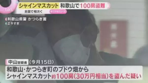 【高額】全国でシャインマスカット盗難相次ぐ　収穫前に房を切りごっそりと　フリマアプリが注意喚起も