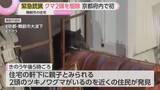 「住宅の軒下に親子グマ2頭が居座る…京都府内初の緊急銃猟を実施　周辺では別の子グマ目撃情報も　京都・舞鶴市」の画像1