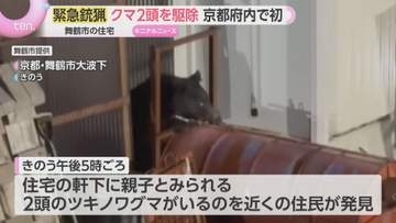 住宅の軒下に親子グマ2頭が居座る…京都府内初の緊急銃猟を実施　周辺では別の子グマ目撃情報も　京都・舞鶴市