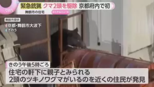 住宅の軒下に親子グマ2頭が居座る…京都府内初の緊急銃猟を実施　周辺では別の子グマ目撃情報も　京都・舞鶴市