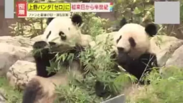 【密着】日本から54年ぶりにパンダがいなくなる…上野の双子パンダ『最後の日』アドベンチャーワールドの飼育員も“原点は上野動物園”