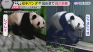 双子パンダ「シャオシャオ」「レイレイ」中国に到着　ついに日本国内『パンダゼロ』に　今後の貸与は？