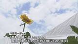 「京アニ放火殺人事件から７年　追悼式典に関係者など140人が参加　「志を繋ぐ碑」にファンも祈りを捧げる」の画像1