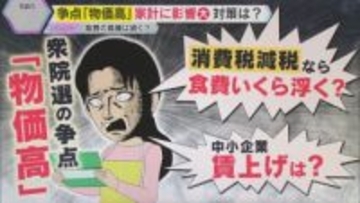衆院選の争点『物価高対策』食費が家計直撃…子育て世帯の節約術　消費税減税で暮らしは本当に変わる？