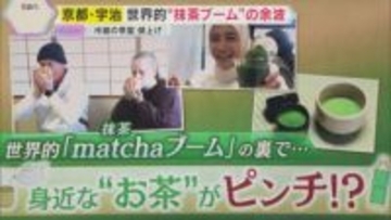 世界的“抹茶ブーム”の余波　宇治市営の茶室利用料が5割程度値上げへ　抹茶原料「てん茶」も価格高騰