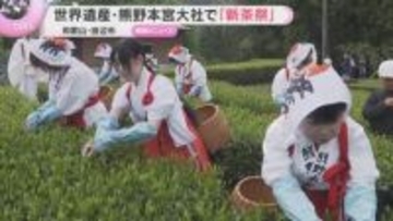 世界遺産・熊野本宮大社で一番茶を摘み取る新茶祭　平安時代起源とされる「音無茶」出荷は7月ごろまで