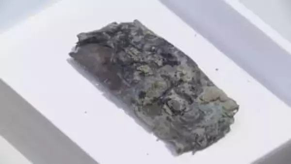 平城京跡に未知の寺院か…仏像や仏と書かれた木簡出土　国家的大事業「東大寺大仏開眼会」との関連注目