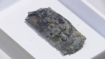 平城京跡に未知の寺院か…仏像や仏と書かれた木簡出土　国家的大事業「東大寺大仏開眼会」との関連注目