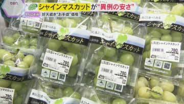 シャインマスカットが“異例の安さ”　国は海外生産認める方向で検討…生産地は「ありえない」と猛抗議