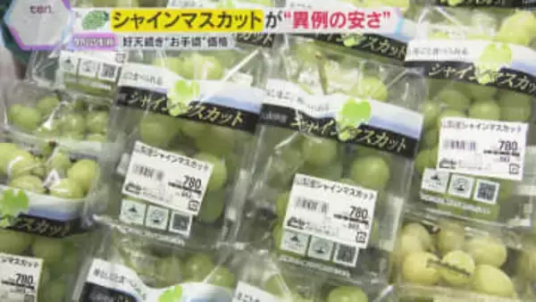シャインマスカットが“異例の安さ”　国は海外生産認める方向で検討…生産地は「ありえない」と猛抗議