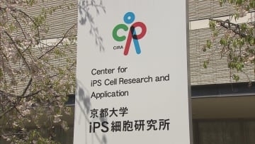 【速報】iPS細胞から“あご”の骨を再現　再生治療や難病治療法開発に期待　京都大学の研究グループ