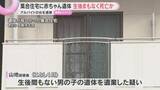 「集合住宅のクローゼットに赤ちゃん遺体「1月に産みました」アルバイトの女逮捕　生後まもなく死亡か」の画像1