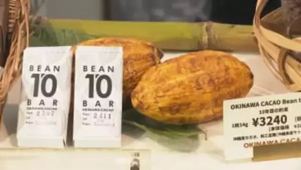 栽培開始から10年…『沖縄産カカオ』で目指す未来と挑戦「人が地域に来るきっかけ作りを」バレンタインに考える“チョコレートの可能性”