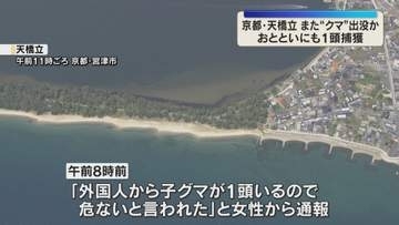 京都「天橋立」でまたクマか…一昨日10日に目撃後、1頭捕獲　神戸でもカメラに初確認　目撃増加傾向