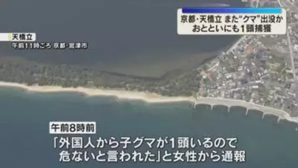 京都「天橋立」でまたクマか…一昨日10日に目撃後、1頭捕獲　神戸でもカメラに初確認　目撃増加傾向