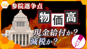 【参院選】争点『物価高対策』 現金給付か？減税か？家庭にもたらされる恩恵とは…貯蓄できず苦悩する子育て世帯の”本音”に迫る