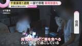 「【千葉豪雨から1週間】2800棟以上が浸水被害　今も“隠れ停電”続く　日常生活にはほど遠く」の画像1