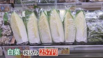 白菜が通常の2倍3倍…長雨と日照不足で葉物野菜が高騰　大阪市内のスーパーではキャベツ1玉734円　台風の影響で12月中旬まで高値が続く恐れも