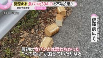 【深まる謎】鳥取県で相次ぐ食パン大量投棄…その量約39キロ「何の目的で…」動物の誘引目的か