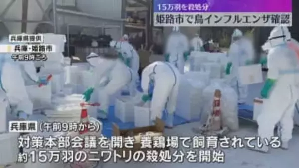 「通常より多くのニワトリが死んでいる」兵庫県で今季2例目の鳥インフル　約15万羽を殺処分　姫路市