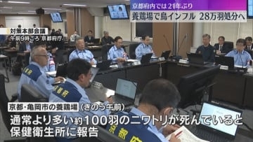 京都府内で21年ぶりの鳥インフルエンザ　亀岡市の養鶏場　約28万羽のニワトリは殺処分へ