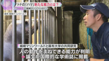 「世界にバレちゃった」トドの『ハマ』に“人の動作をまねできる能力”　論文が国際的な学術誌に掲載