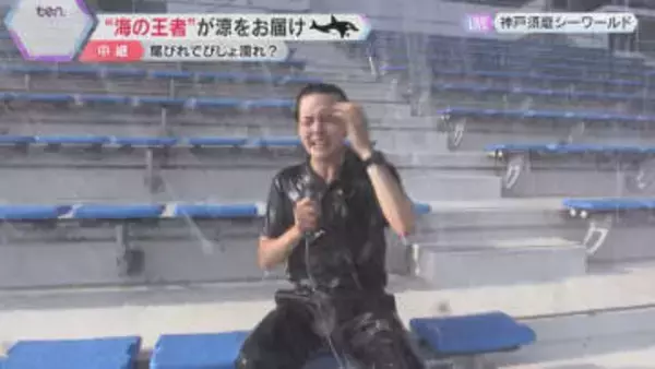 びしょ濡れ覚悟で涼しさいっぱい！ 神戸須磨シーワールド　西日本でシャチを見られるのはここだけ