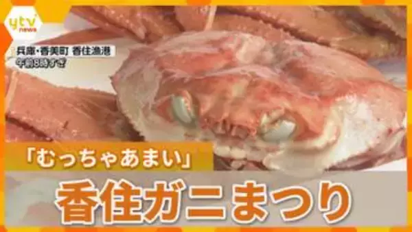 「めっちゃ甘いですね」秋の美味『香住ガニまつり』開催　5分間で競う『食べ方上手選手権』も　兵庫・香美町