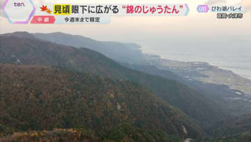 【紅葉中継】びわ湖バレイ②山頂から眺める壮大なパノラマ　空と湖と紅葉が織りなす絶景　滋賀