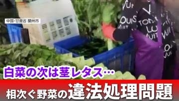 【偽装】「白菜だけではなかった」茎レタスも鮮度偽装　中国で相次ぐ野菜の違法処理問題　その実態と日本への影響は？