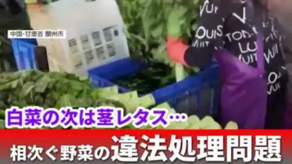 【偽装】「白菜だけではなかった」茎レタスも鮮度偽装　中国で相次ぐ野菜の違法処理問題　その実態と日本への影響は？