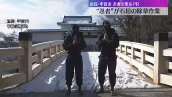 「きれいにするでござる」忍者姿の作業員が高さ9メートルの石垣の除草作業　滋賀・甲賀市