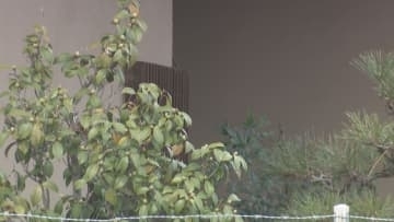 【続報】家からスマホ見つからず…証拠隠滅のため何者かが盗んだか　高齢女性が浴槽で死亡　大阪・堺市