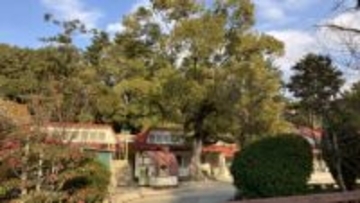 【速報】関西大学幼稚園に男が侵入　園児らが逃げ込んだ部屋で女性職員を羽交い絞めに　男は現行犯逮捕　大阪・吹田市