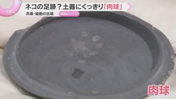約1400年前の土器にくっきり残る肉球…国内最古のネコの足跡の可能性　土器乾かす横をウロウロ？