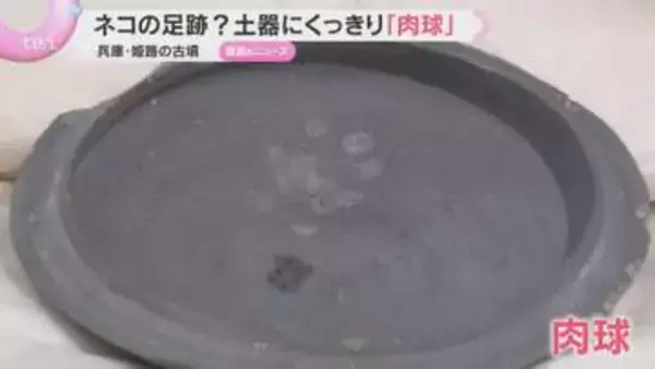 約1400年前の土器にくっきり残る肉球…国内最古のネコの足跡の可能性　土器乾かす横をウロウロ？