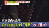 「【猛威】屋根裏で“運動会”、フン尿も…都内で激増する“害獣” 深刻な被害をもたらす、その正体は―」の画像1