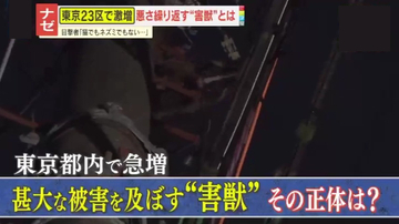 【猛威】屋根裏で“運動会”、フン尿も…都内で激増する“害獣” 深刻な被害をもたらす、その正体は―