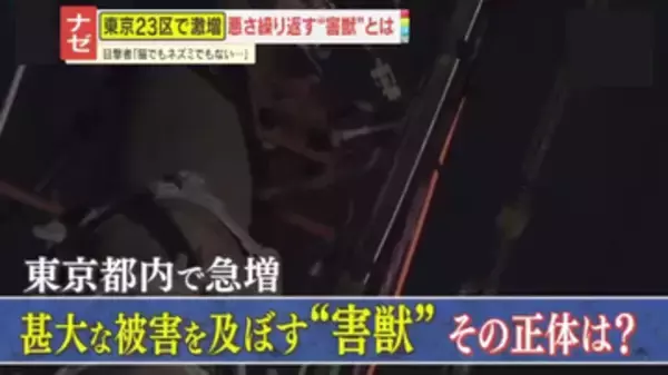 【猛威】屋根裏で“運動会”、フン尿も…都内で激増する“害獣” 深刻な被害をもたらす、その正体は―