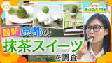 「【京都】香り・苦みがたまらない！世界的ブーム『抹茶』を巡る旅　“茶源郷”の絶景や老舗の庭園も！抹茶スイーツ界のトレンドとは？」の画像1