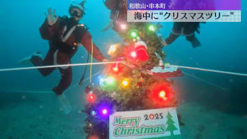 『水中クリスマスツリー』サンタ姿のダイバーが設置　国内有数のダイビングスポット　和歌山・串本町