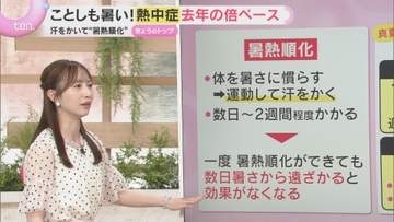 【夏本番を前に】エアコン点検は今のうちに！試運転のコツ　暑熱順化と水分補給で備える熱中症対策