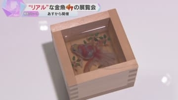 “まるで生きている”金魚『深堀隆介展』透明樹脂にアクリル絵の具を…代表作「金魚酒」など約300点