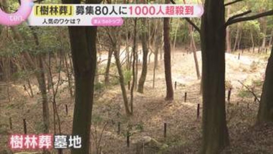 「自然に戻っていけたら」「お墓はもたないことに」神戸市の樹林葬墓地に応募10倍超…広がる『終活』