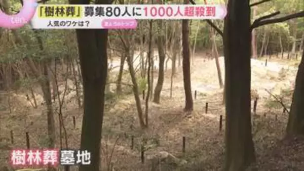 「自然に戻っていけたら」「お墓はもたないことに」神戸市の樹林葬墓地に応募10倍超…広がる『終活』