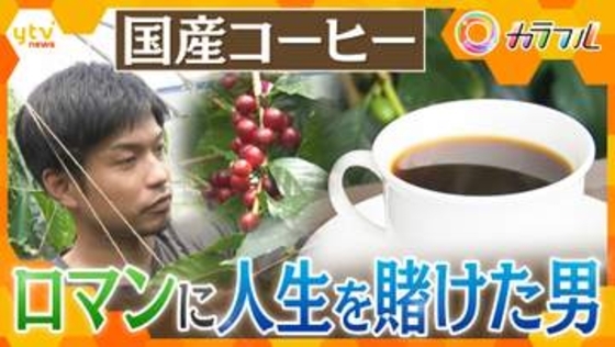 【奮闘】「自分はこのために生まれてきた」ゼロから挑んだ国産コーヒー　元看護師が追い求めた“ロマン”と販売までの苦い道のり